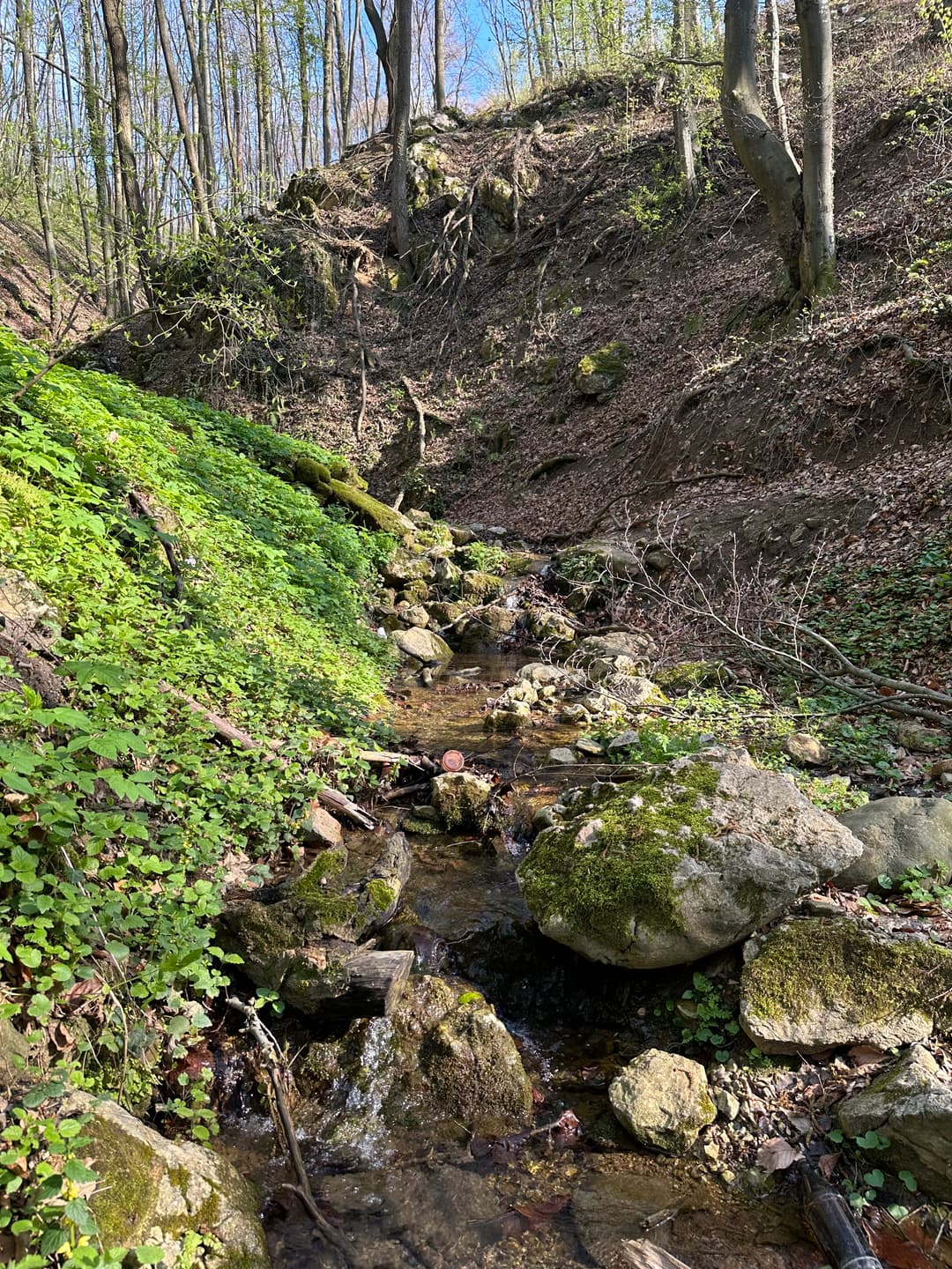 Izvor u Gunjici